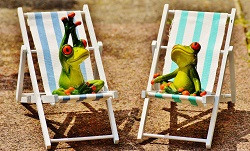 Sommer_Liegestuehle_Froesche (pixabay_sun-loungers-1392660)_250x1513