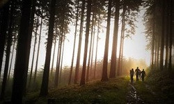 Menschen im Wald 