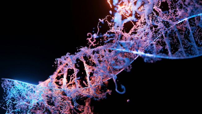 Epigenetik